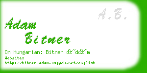 adam bitner business card